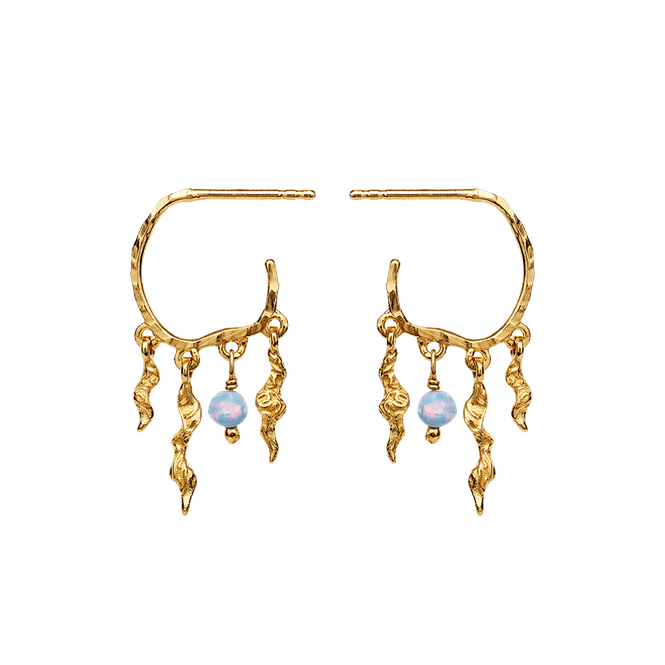 Hovedbilde Maanesten Bayou Ørepynt