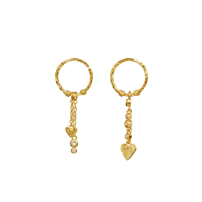 Hovedbilde Maanesten Nemy forgylte ...