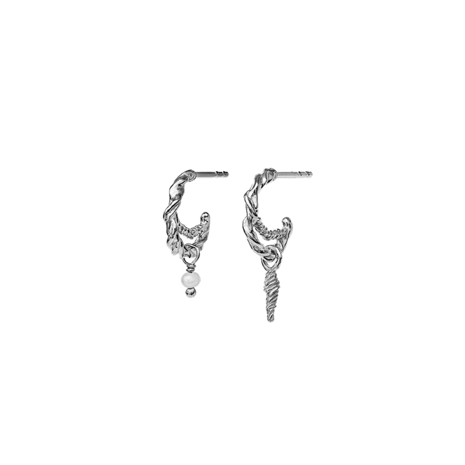 Hovedbilde Maanesten Duo Ørepynt