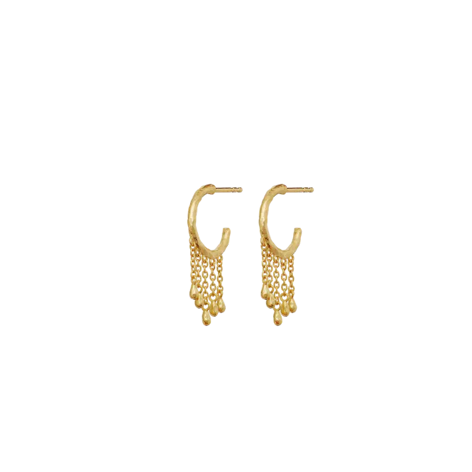 Hovedbilde Maanesten Wendy Øredobber ...