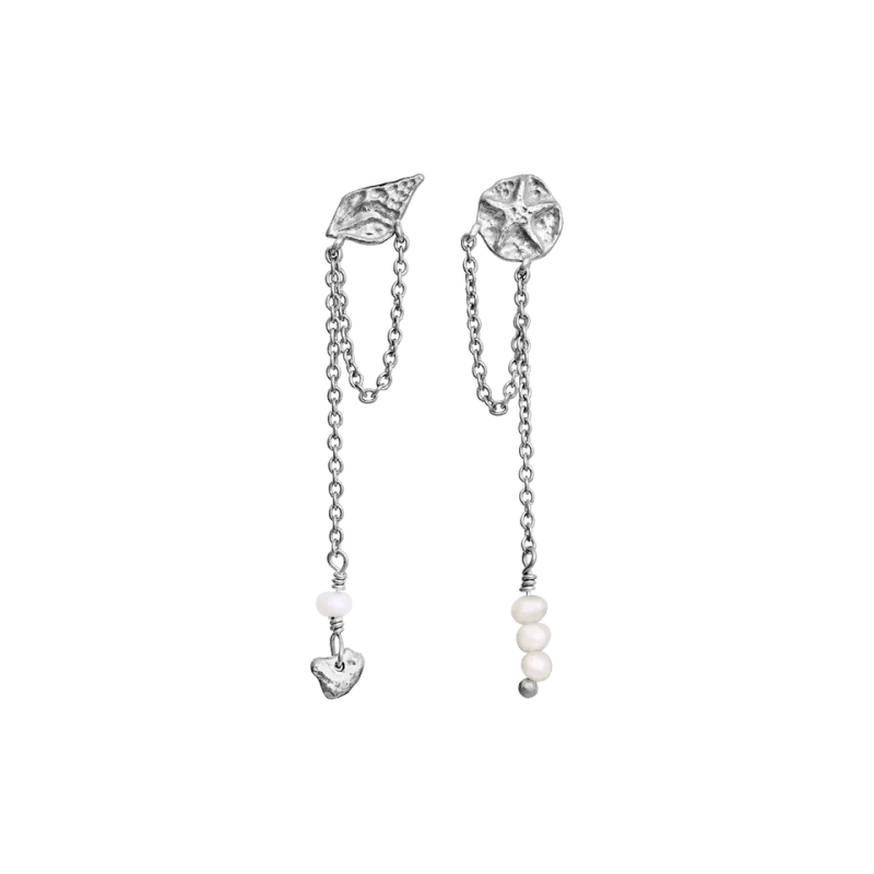 Maanesten Elo øredobber sølv