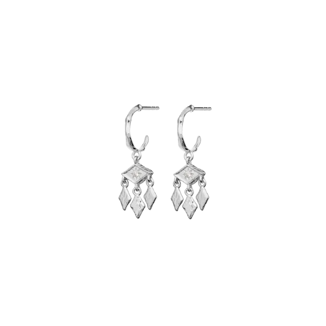 Hovedbilde Maanesten Edwina Øredobber ...